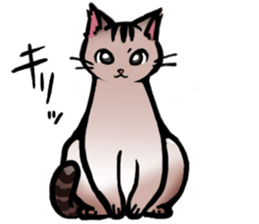 Life with the amber cat sticker #10538716