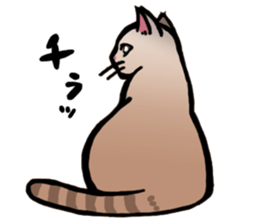 Life with the amber cat sticker #10538719