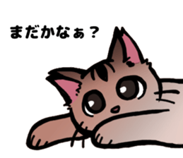 Life with the amber cat sticker #10538721