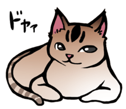 Life with the amber cat sticker #10538722