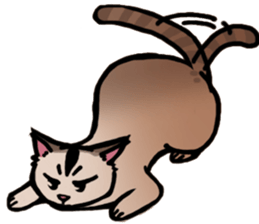 Life with the amber cat sticker #10538724