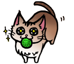 Life with the amber cat sticker #10538725