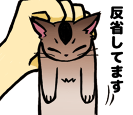 Life with the amber cat sticker #10538734