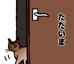 Life with the amber cat sticker #10538738