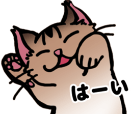 Life with the amber cat sticker #10538747