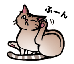 Life with the amber cat sticker #10538748