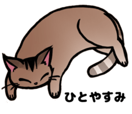 Life with the amber cat sticker #10538750