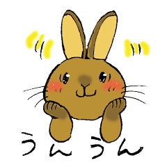 Netherland Dwarf rabbit