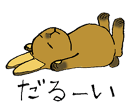 Netherland Dwarf rabbit sticker #10540919