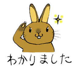 Netherland Dwarf rabbit sticker #10540924