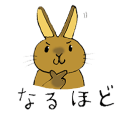 Netherland Dwarf rabbit sticker #10540928