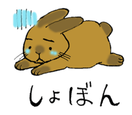 Netherland Dwarf rabbit sticker #10540938