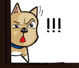 budo dog sticker #10541835
