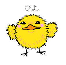 Piyopiyo 's sticker sticker #10542910