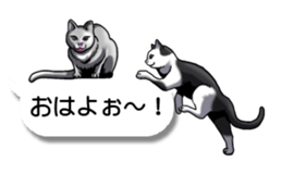 Cats love balloon 2 sticker #10544637