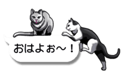 Cats love balloon 2 sticker #10544637