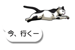 Cats love balloon 2 sticker #10544644