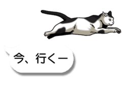 Cats love balloon 2 sticker #10544644