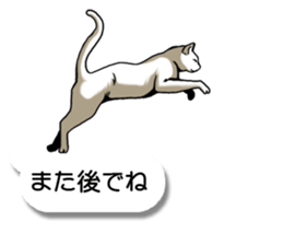Cats love balloon 2 sticker #10544658