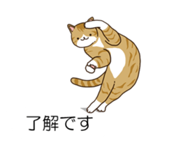 Balloon and cat to dynamic sticker #10547633