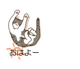 Balloon and cat to dynamic sticker #10547636