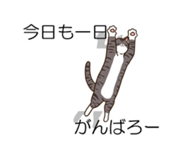 Balloon and cat to dynamic sticker #10547638