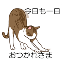 Balloon and cat to dynamic sticker #10547639