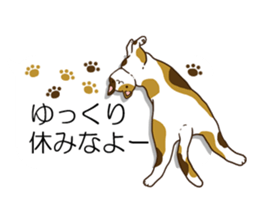 Balloon and cat to dynamic sticker #10547641