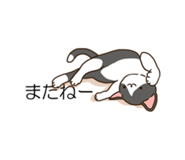 Balloon and cat to dynamic sticker #10547643