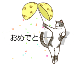 Balloon and cat to dynamic sticker #10547647