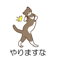 Balloon and cat to dynamic sticker #10547657