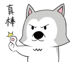 Ha cyan daily sticker #10550833