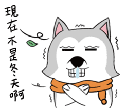 Ha cyan daily sticker #10550836