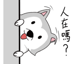 Ha cyan daily sticker #10550839