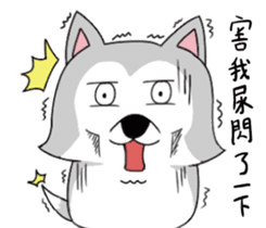 Ha cyan daily sticker #10550841