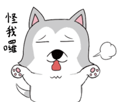 Ha cyan daily sticker #10550842