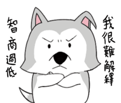 Ha cyan daily sticker #10550845