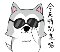 Ha cyan daily sticker #10550847