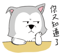 Ha cyan daily sticker #10550853