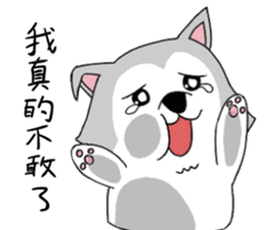 Ha cyan daily sticker #10550860