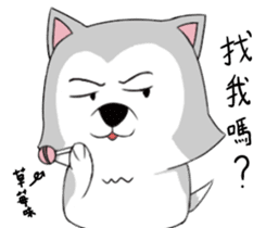 Ha cyan daily sticker #10550861