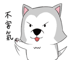 Ha cyan daily sticker #10550862