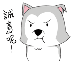 Ha cyan daily sticker #10550863