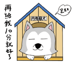 Ha cyan daily sticker #10550864