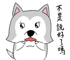 Ha cyan daily sticker #10550865