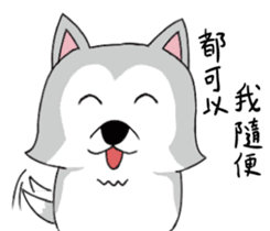 Ha cyan daily sticker #10550867