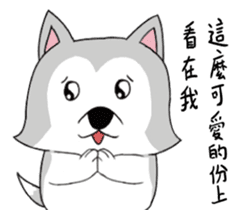 Ha cyan daily sticker #10550870