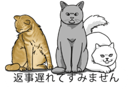 The group of the cat came 2 sticker #10557159