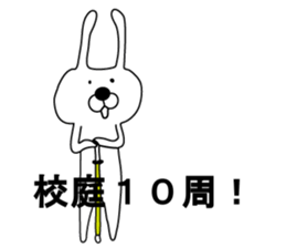 Indecision rabbit 4 sticker #10559371