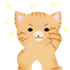 any cat have face of the back sticker #10559800